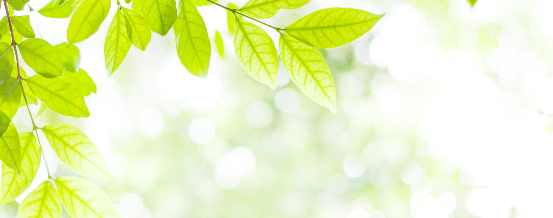 帝人興産株式会社は、循環型社会の実現に向けて地球環境にやさしい事業を積極的に推進しています。